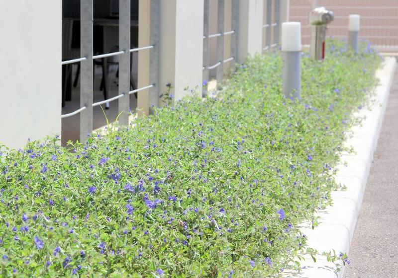 Отель Risingsun Miyakojima