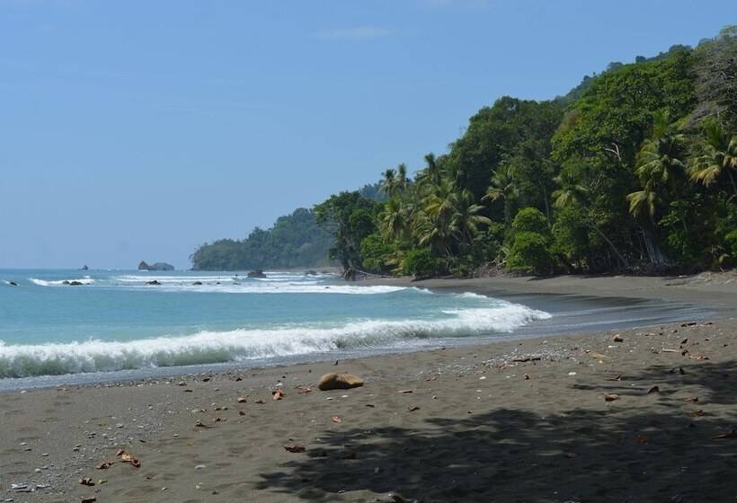 호텔 The Lookout Inn Lodge