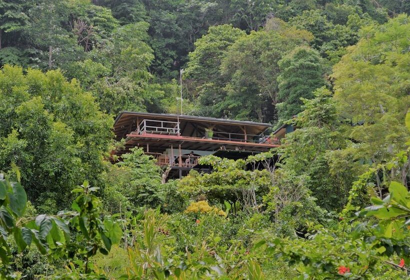 호텔 The Lookout Inn Lodge