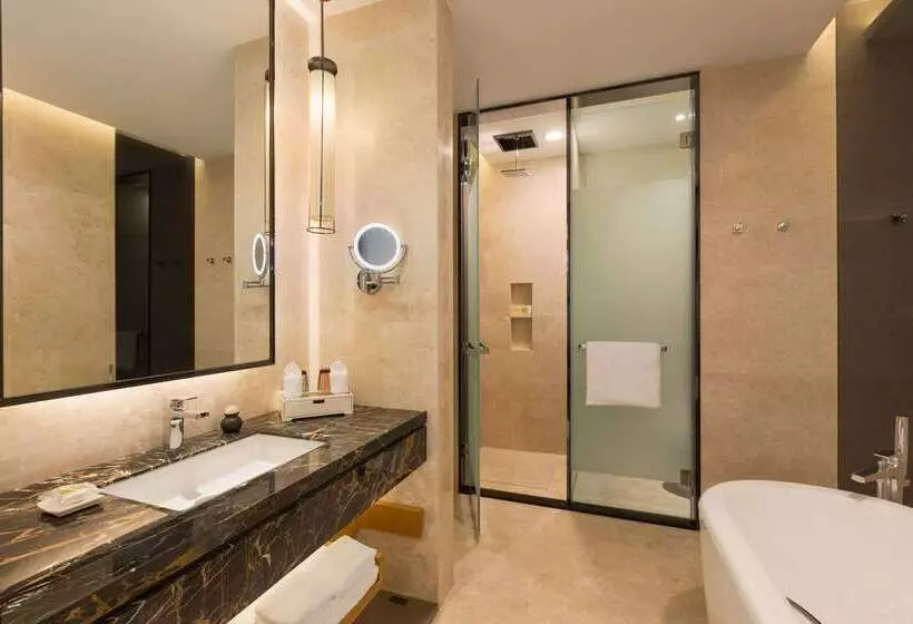 هتل Wyndham Chongqing Yuelai
