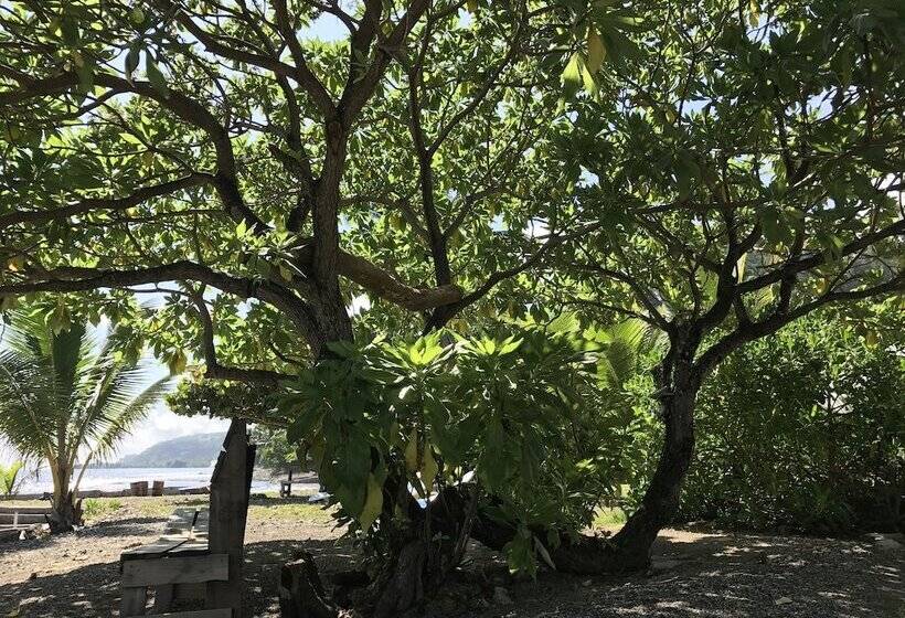 پانسیون Punatea Village