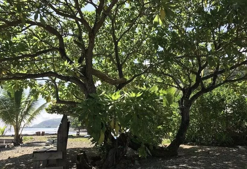 پانسیون Punatea Village