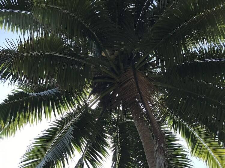 پانسیون Punatea Village