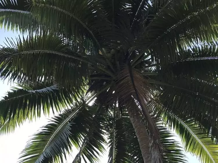 پانسیون Punatea Village