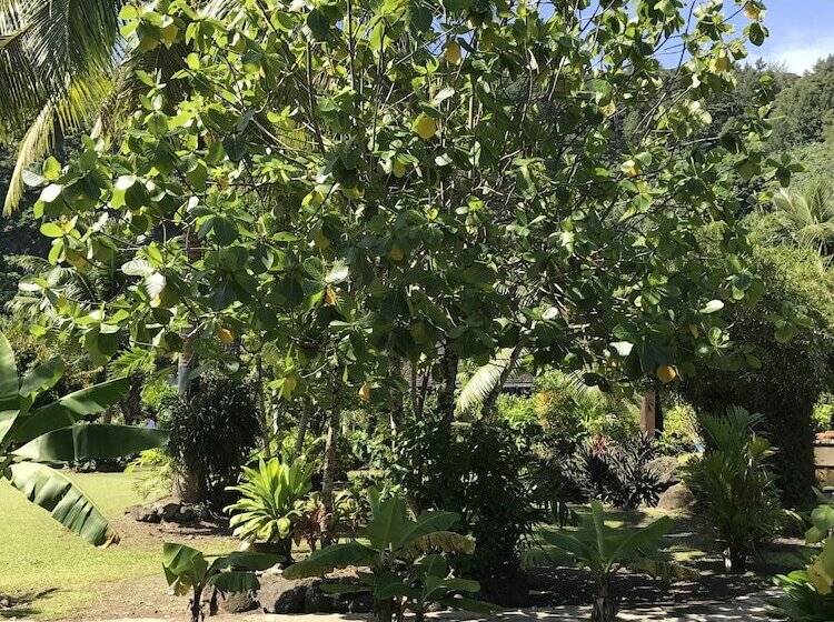 پانسیون Punatea Village