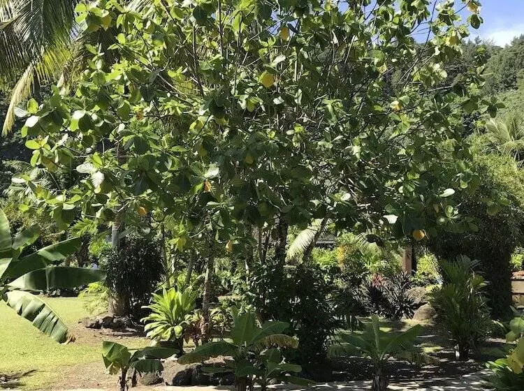 پانسیون Punatea Village