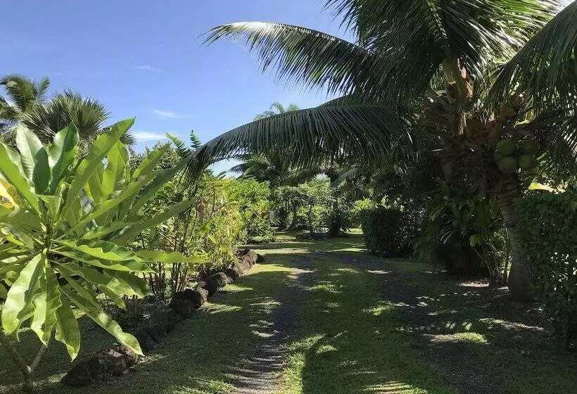 پانسیون Punatea Village