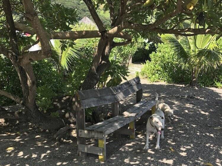 پانسیون Punatea Village