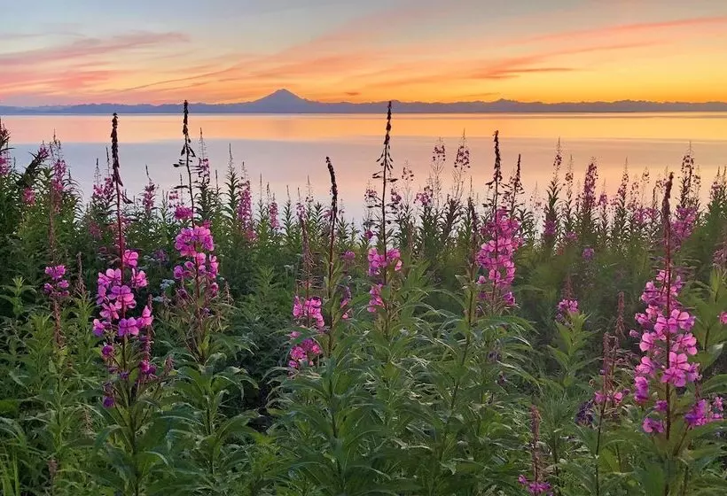 Aamiaismajoitus (B&B) Clam Gulch Lodge