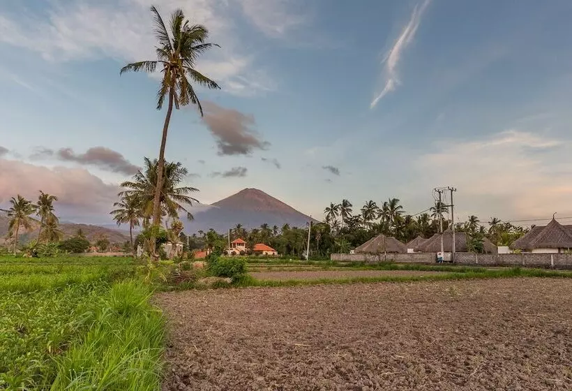 Emocean Beach Boutique Resort