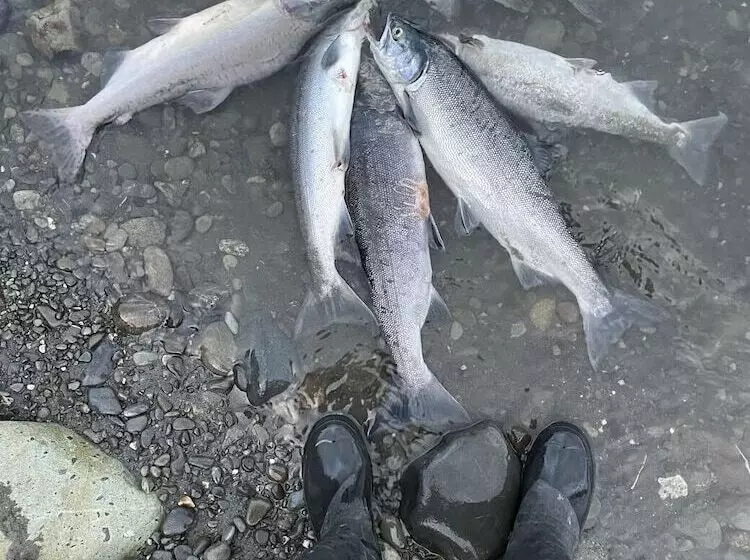 Hotelli Alaska Lake And Lodge At Longmere