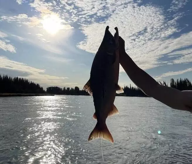 Hotelli Alaska Lake And Lodge At Longmere