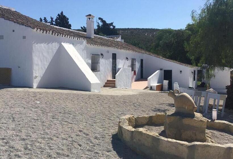 هتل Hacienda Marcharavi