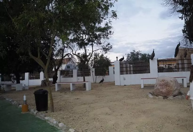 ホテル Hacienda Marcharavi