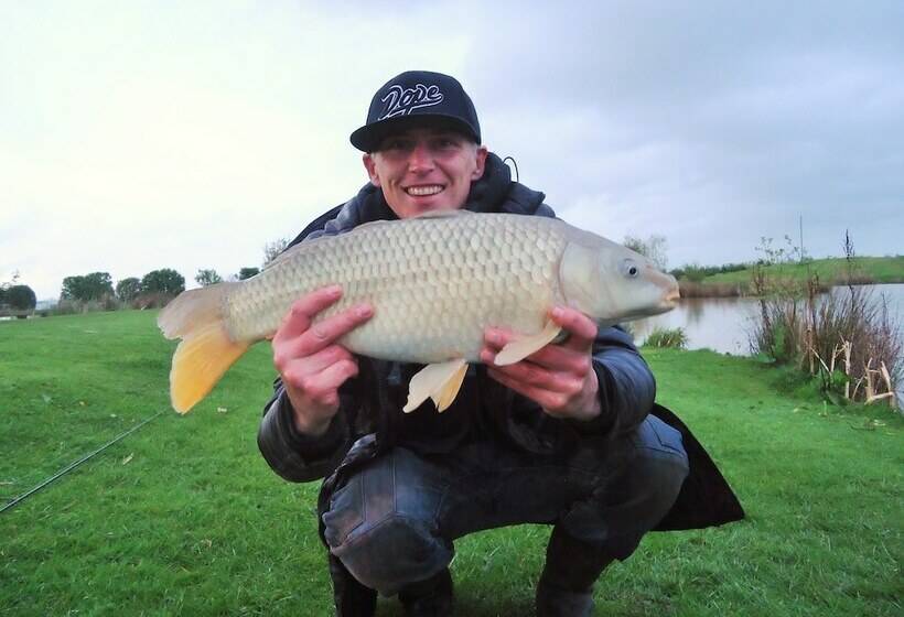 호텔 New Farm Holidays