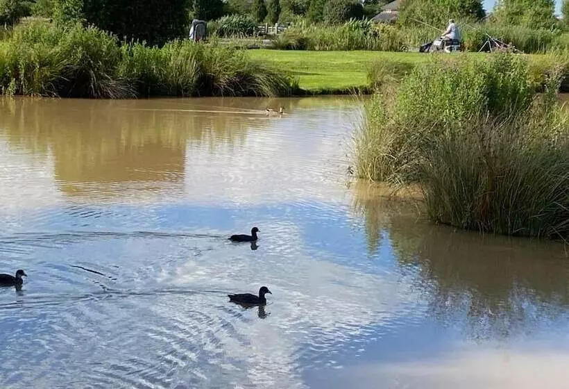 Hotelli New Farm Holidays