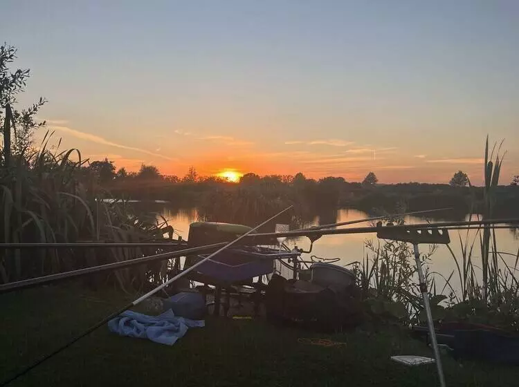 Hotelli New Farm Holidays