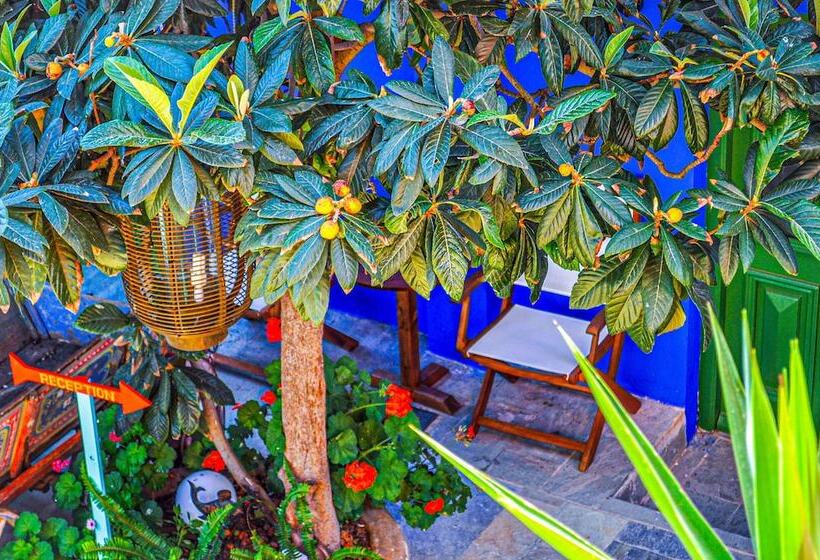 Hotell Symi Garden Studios