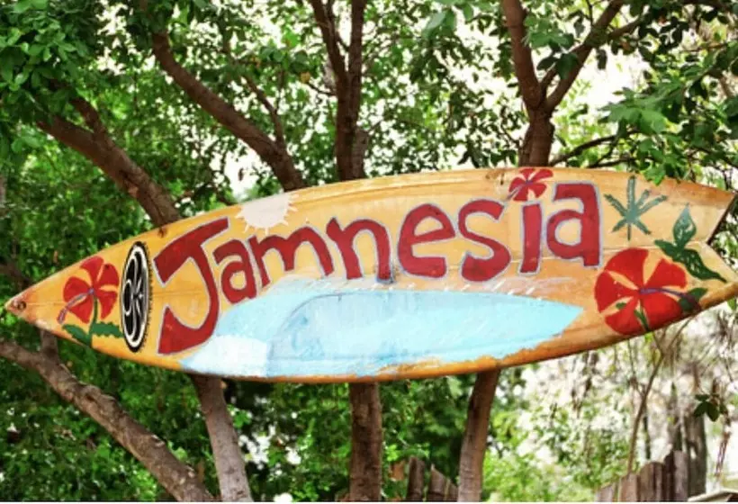 پانسیون 876 Ja Oasis & Homestay   By Kingston Airport