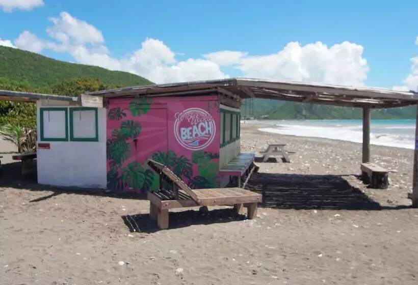 پانسیون 876 Ja Oasis & Homestay   By Kingston Airport