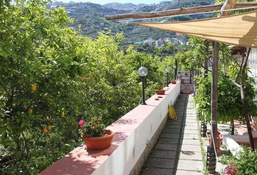 اقامتگاه Eden Holiday Minori