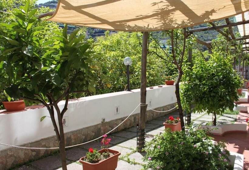 اقامتگاه Eden Holiday Minori