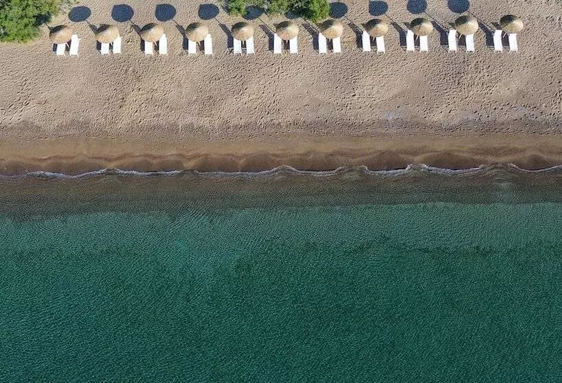 Grand Bleu Anastazia