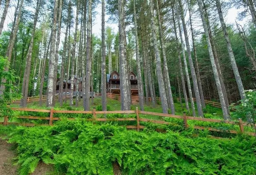 Heritage Hill Cabins