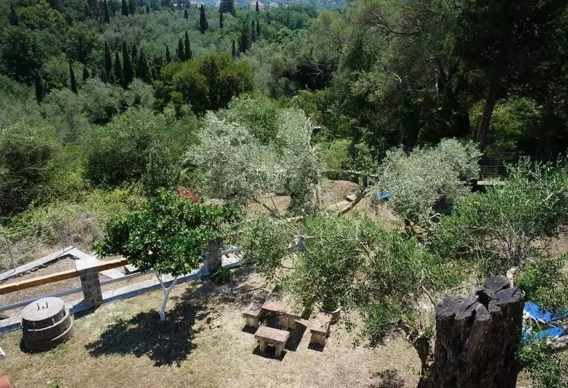 ホテル Corfu Green Paradise   Luxury Villa In Mistralatika, Kato Korakiana