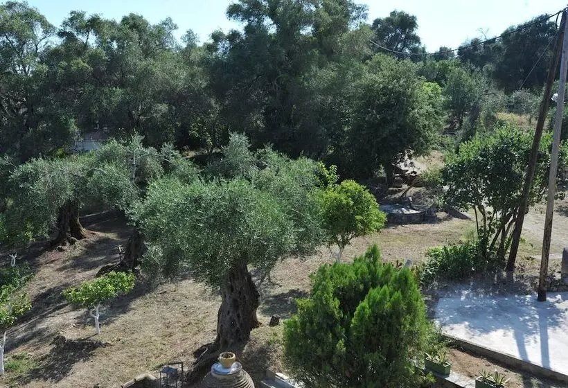 ホテル Corfu Green Paradise   Luxury Villa In Mistralatika, Kato Korakiana