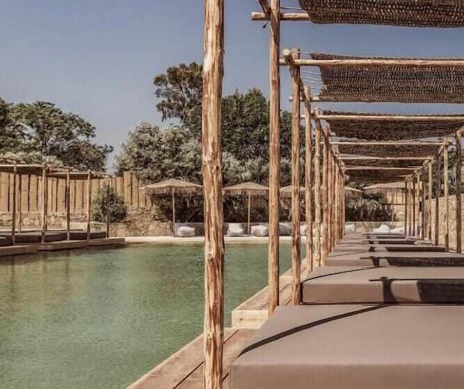 فندق Doryssa Boutique