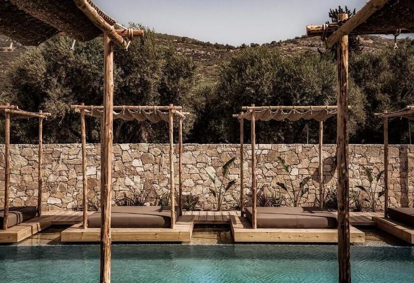 فندق Doryssa Boutique