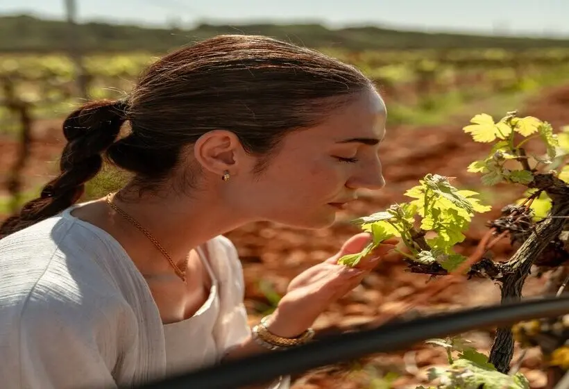 هتل Agroturismo Es Mayolet