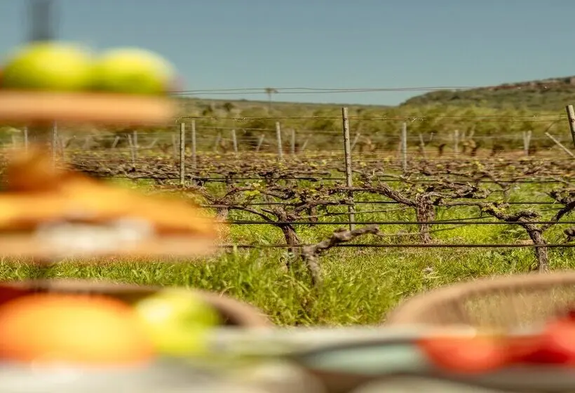 هتل Agroturismo Es Mayolet