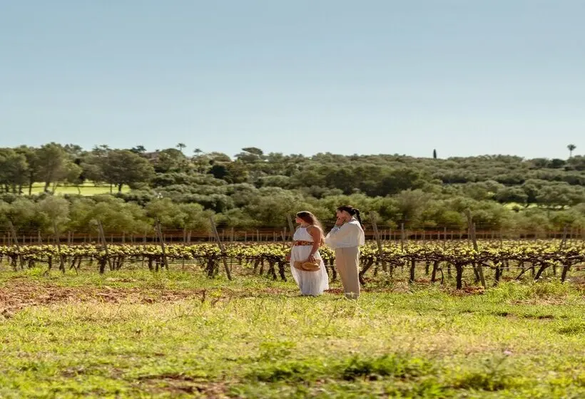 هتل Agroturismo Es Mayolet