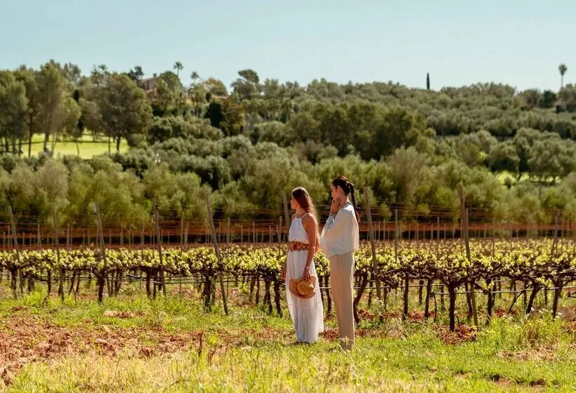 هتل Agroturismo Es Mayolet