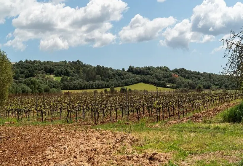 هتل Agroturismo Es Mayolet