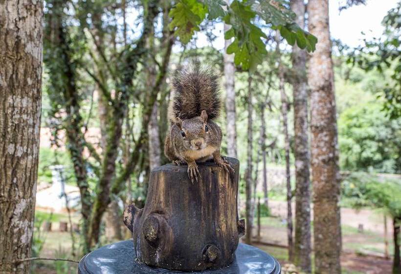 ホテル Pousada Vila Suíça