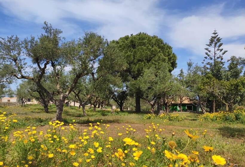 교외 호텔 Lithies Organic Farm