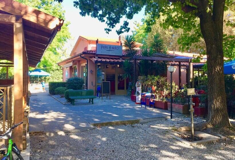 ペンション Cinque Terre Campsitechalet 212 River Village Ameglia Including Airco