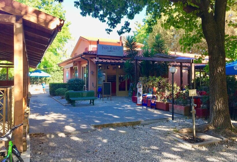 ペンション Cinque Terre Campsitechalet 212 River Village Ameglia Including Airco