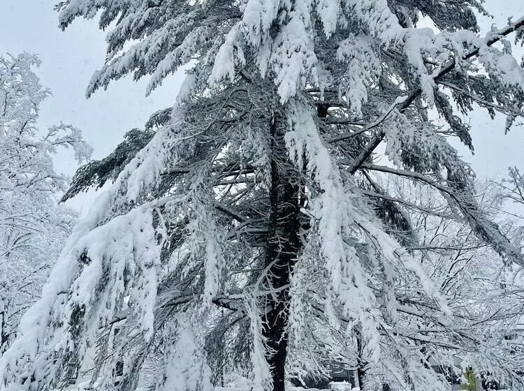 ペンション Willow Vermont