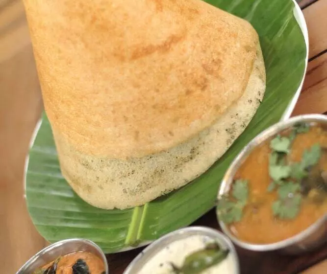 Reva Resorts & Holiday Homes