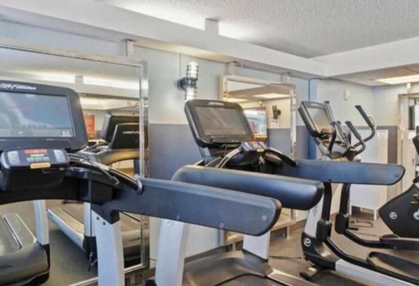 315 Loso Hotel Airport