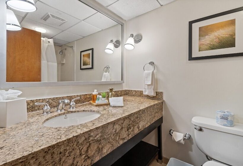 315 Loso Hotel Airport