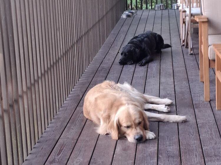 Geresnationalpark Cabin 6bed Balcony Pool Views