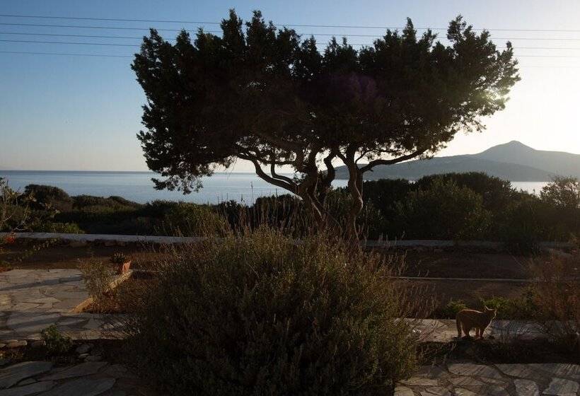 هتل Oliaros Seaside Lodge