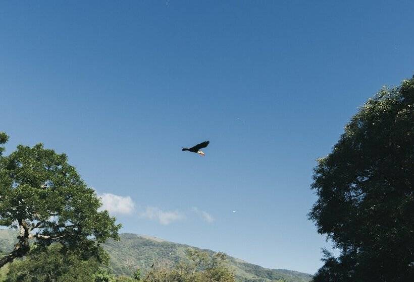 בית מלון כפרי Rincon Del Cerro