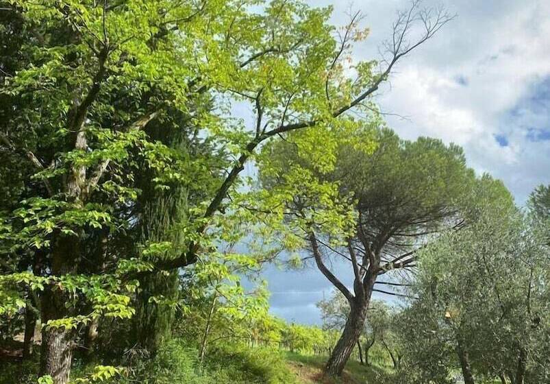 교외 호텔 Corte Di Valle Wine And Resort