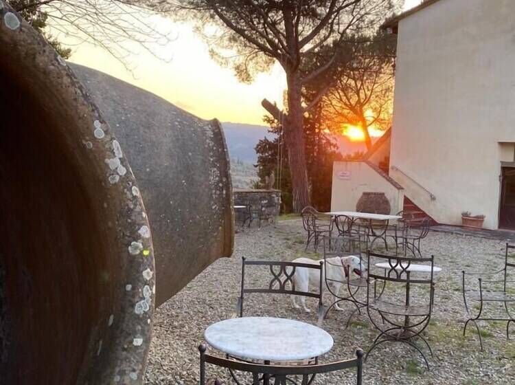 교외 호텔 Corte Di Valle Wine And Resort